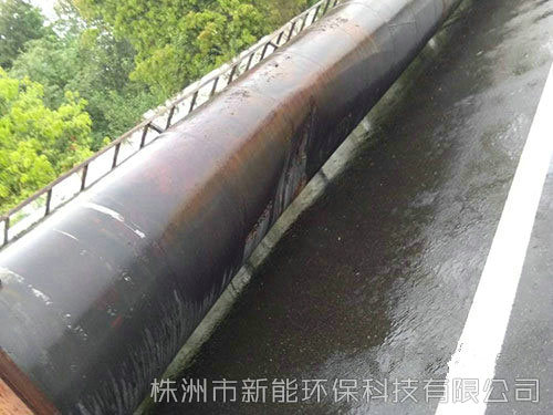 &#20048;&#40060;